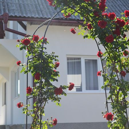 Casa Maria Vendégház Borgóprund Kültér fotó