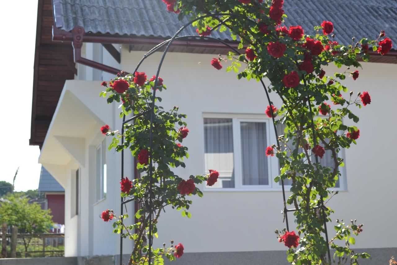 Casa Maria Vendégház Borgóprund Kültér fotó